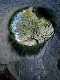 Singapore Dragon's Den | Fort Canning Park • Tree Hole Observatory 🌳 Hidden in the lush greenery