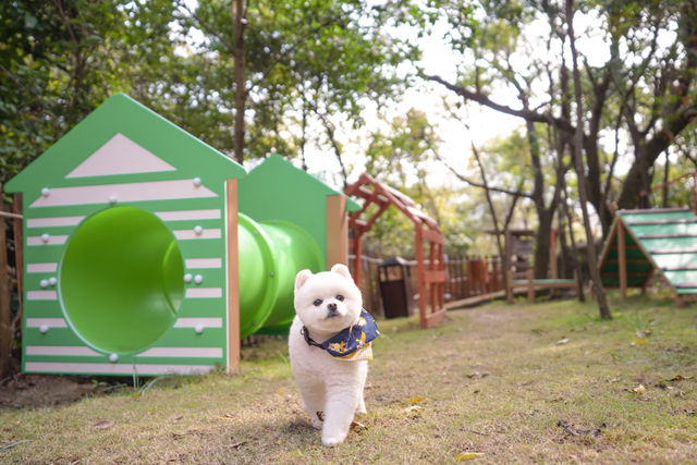 Hong Kong | Pet-friendly outdoor activity area "Beauty Hill"