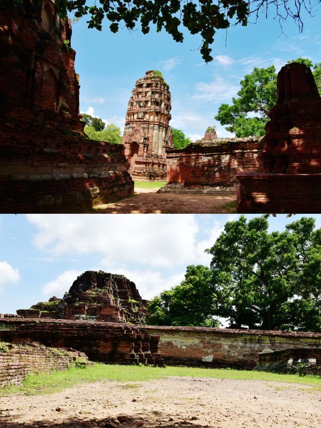 The tree embracing Buddha's head, one of the seven wonders of Thailand.