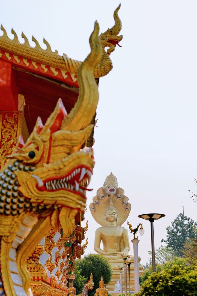 Gorgeous and prominent colors are combined with sculptures that we consider exaggerated.