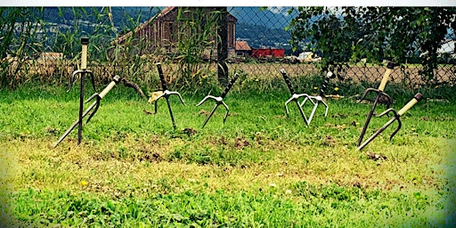 Chilliwack Isshin-Ryu Yujo Taiki | Rosedale Traditional Community School, Yale Road, Rosedale, BC, Canada