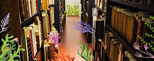 Visite de la médiathèque- thématique les alguiers | Les Curiosites de Dialogues