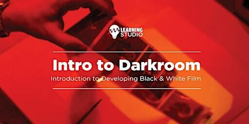 Darkroom Developing: Introduction to Developing B&W Film | Midwest Photo