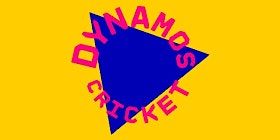 Y5/6 Dynamos Mixed Cricket Heat 2 of 3 (Birkenhead Park Cricket Club) | Birkenhead Park Cricket Club