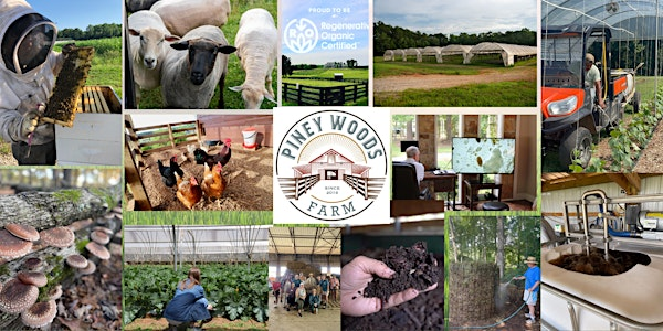 PINEY WOODS FARM TOUR! | Piney Woods Farm