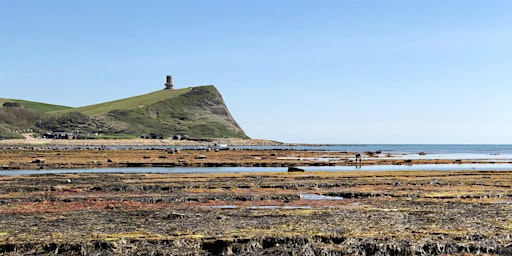 Rockpool Ramble at Kimmeridge | Fine Foundation Wild Seas Centre