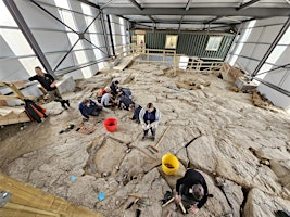 Weekend Fossil Adventure | Stori Brymbo