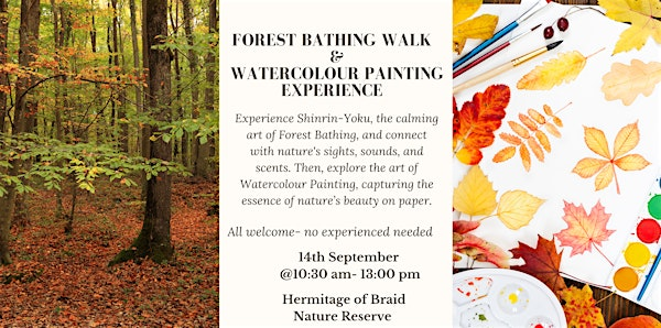 Autumn Forest Bathing Walk & Watercolour Painting Experience | Midmar Drive