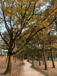 경주 대릉원