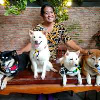 อินุ คาเฟ่ (INU Cafe) @ หัวหิน