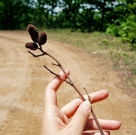 힐링 여행으로 좋은 횡성 숲체원 트레킹코스