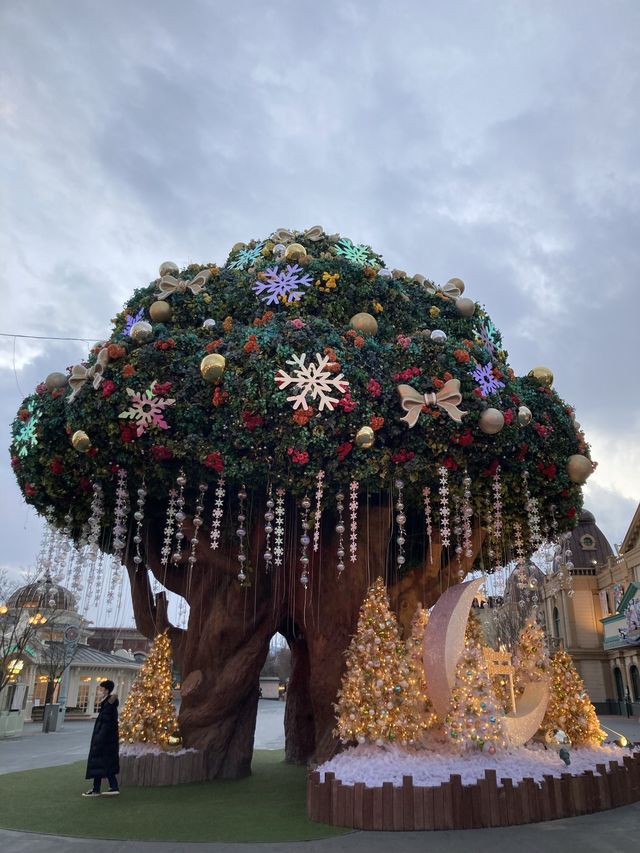 연말 갬성 가득한 에버랜드 다녀왔습니다!🎄🧡✨