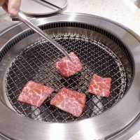 食肉獸最啱🥰