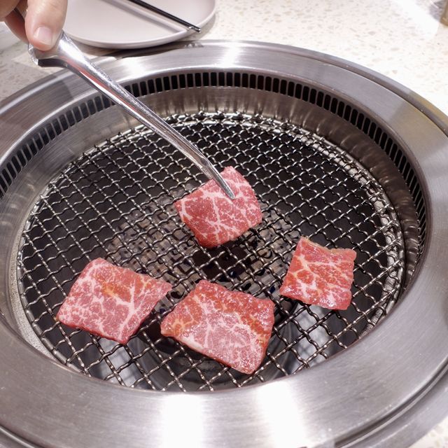 食肉獸最啱🥰