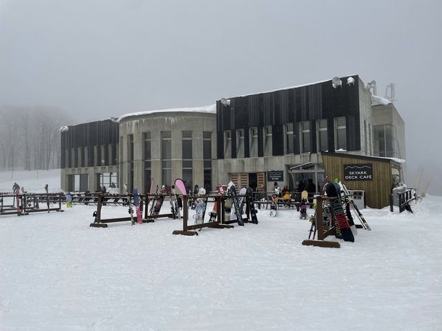 【長野】長野の岩岳でスキーを楽しもう！