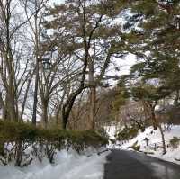 秋田県　千秋公園　雪景