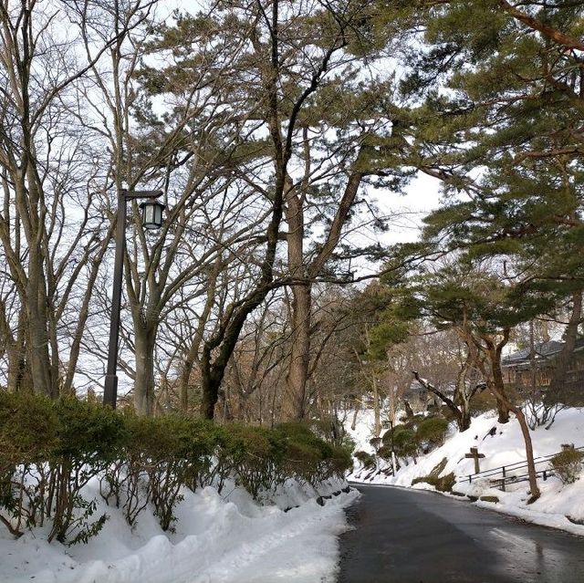 秋田県　千秋公園　雪景