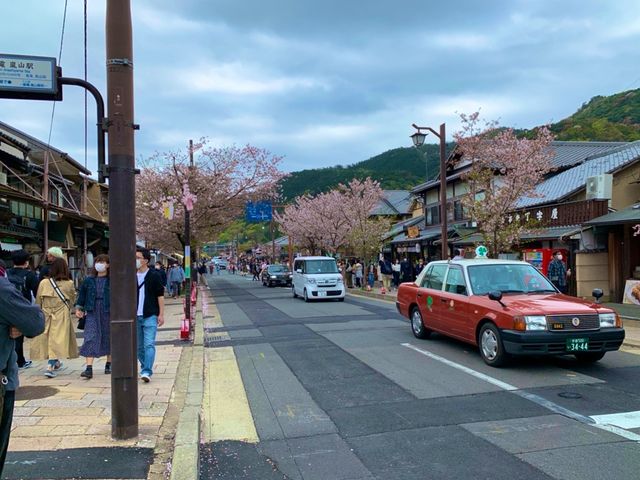 京都　KYOTO SAKURAめぐり❗️竹林の小径〜嵐山公園(亀山地区)〜保津峡のあたりを散策してみた！