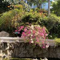 親子好去處｜香港動植物公園賞花攝影遊🌺