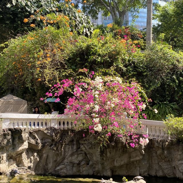 親子好去處｜香港動植物公園賞花攝影遊🌺