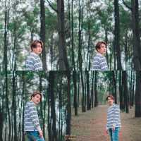 จุดแวะพักถ่ายรูประหว่างทางสุดปัง