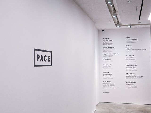 清晨的月亮展覽- Arlene Shechet 