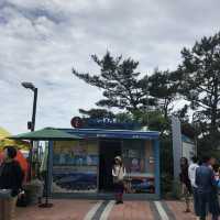 여수에서 해상케이블카 타고 오동도 둘러보기! 