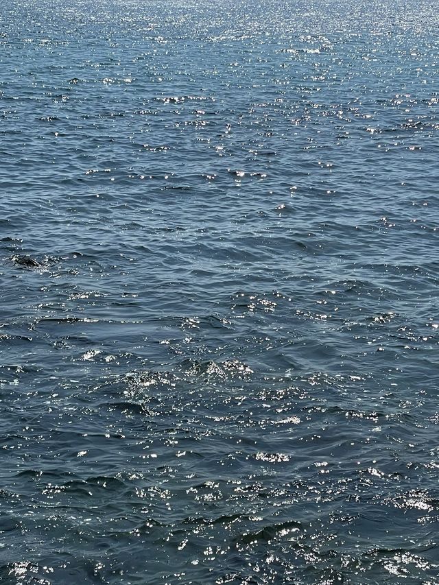 < 제주 여행 > 산방산 해안, 용의 머리를 닮은 용머리해안 🌊