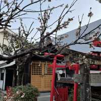 【福岡】地下鉄唐人町駅近くの神社