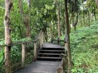 暢遊😎「馬灣公園」🌴🦎🐌🕷☘️