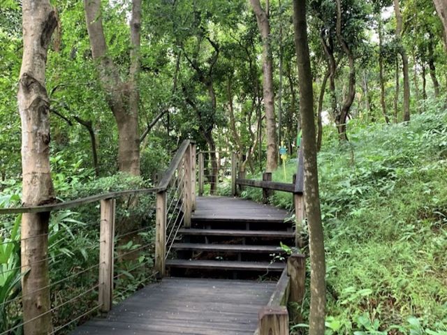 暢遊😎「馬灣公園」🌴🦎🐌🕷☘️