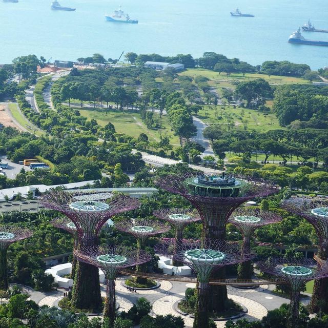 全新加坡🇸🇬最令景酒店🏨天台無邊際泳池❗️