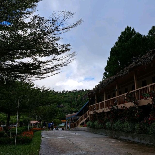 สวนดอกไม้เมืองหนาวแดนใต้