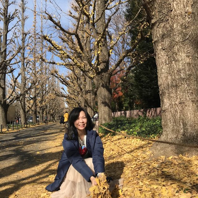 Beautiful Photo Spot in Tokyo 