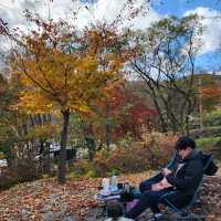 황매산 오토캠핑장에서 가을 산책을!