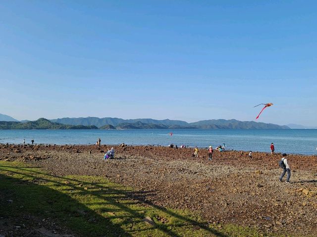 【CP值最高的紅樹林~泥涌🌴】