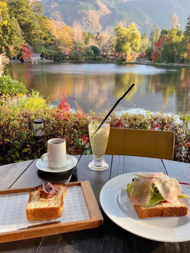 【大分カフェ】金鱗湖の紅葉が素敵な絶景カフェ☺️