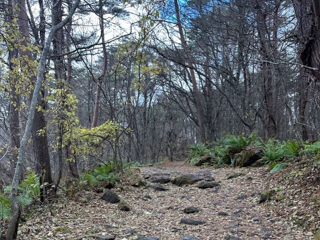 【福島】磐梯山の近くにある五色沼でラン🏃