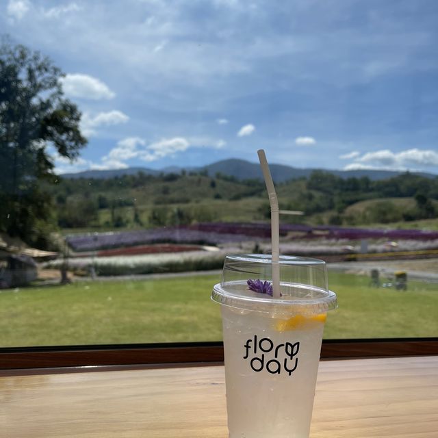 Floryday Khaoyai : Café & Flower 🌸