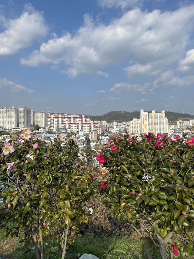 통영 여행 필수 코스! 걷기만해도 너무 예쁜 동피랑