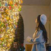 🎄이색적인 거꾸로 트리가 예쁜 연말에가기좋은 카페 [제주, 마마롱]