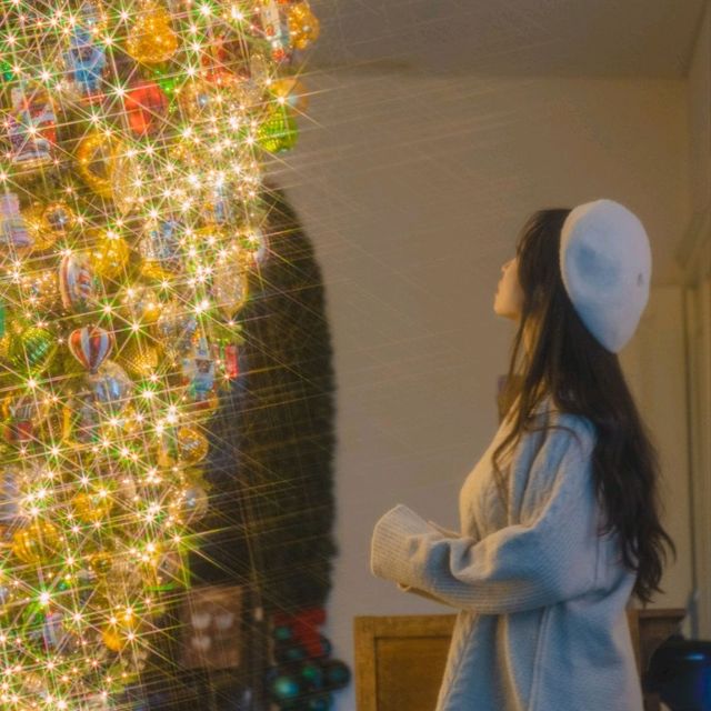 🎄이색적인 거꾸로 트리가 예쁜 연말에가기좋은 카페 [제주, 마마롱]