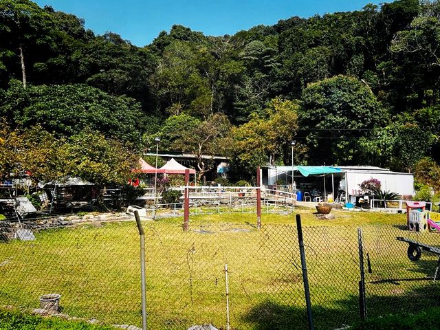 井欄樹村隱世親子活動、燒烤、紮營