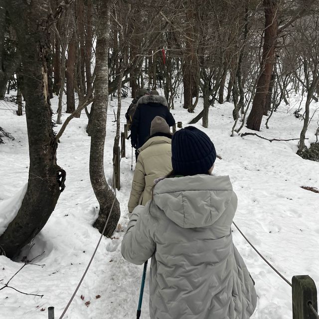 한라산에 눈이 얼마나 쌓였는지 궁금하시죠?☃️🙂