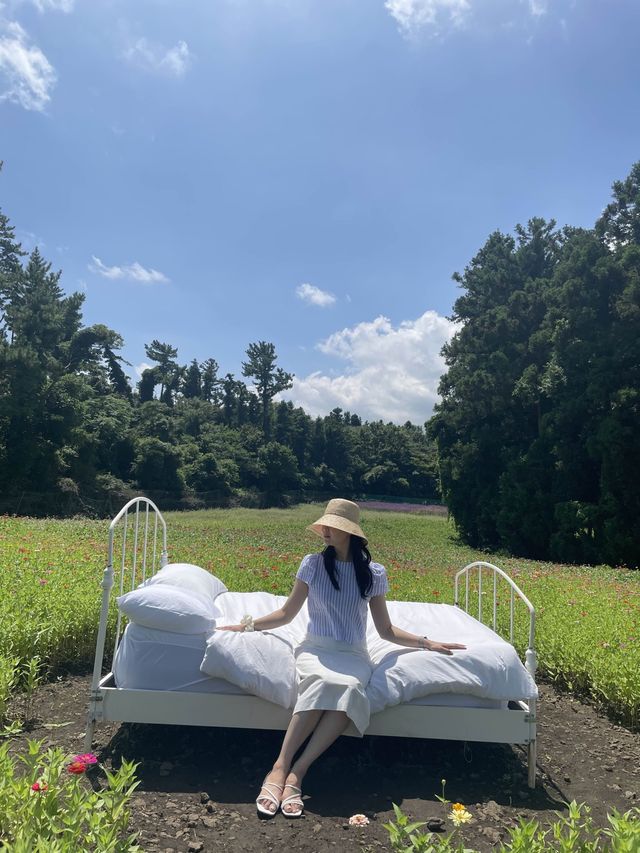 제주 동쪽 다양한 포토존이 있는 뷰좋은카페, 비케이브