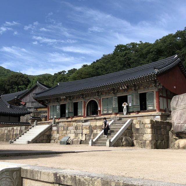 [부산] 녹음 푸르른 범어사