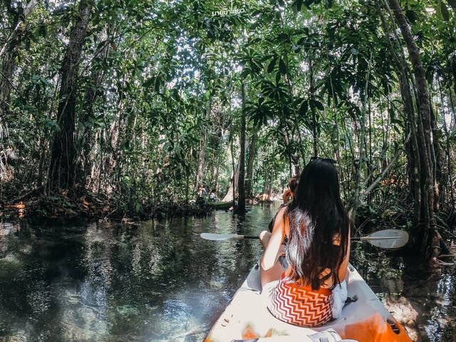 พายเรือคายัค คลองหรูด จ.กระบี่ 