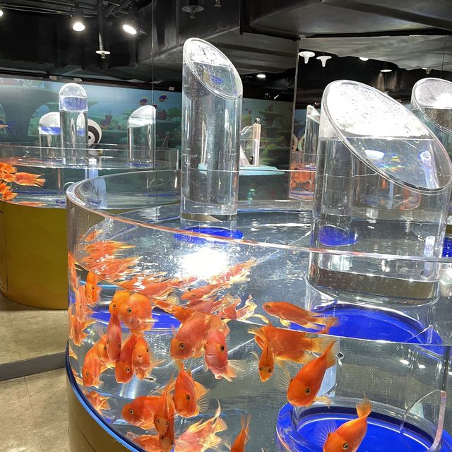 이색 데이트! 코엑스 아쿠아리움