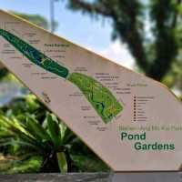 Bishan - Ang Mo Kio Park
