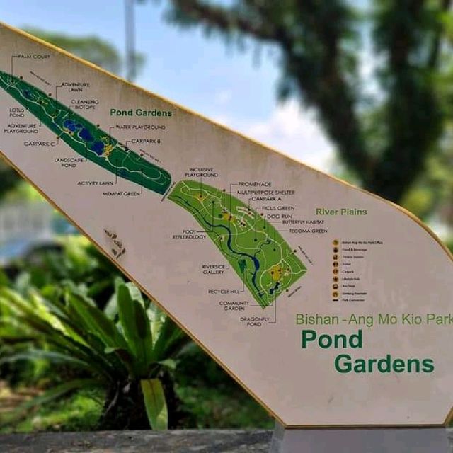Bishan - Ang Mo Kio Park